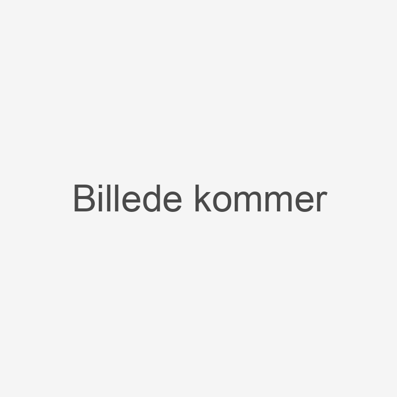 Top/bund i bøg